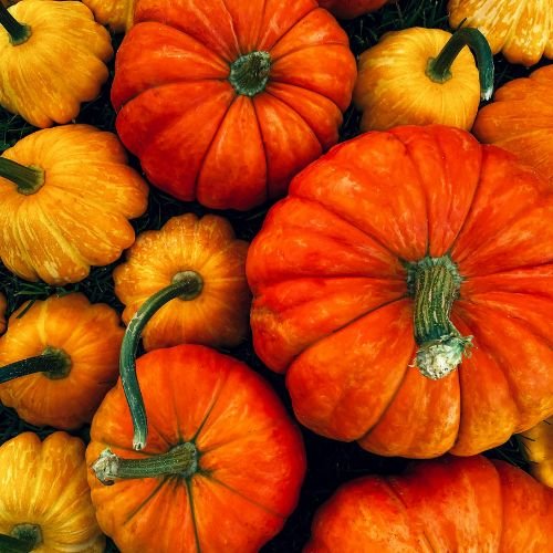 Pumpkins