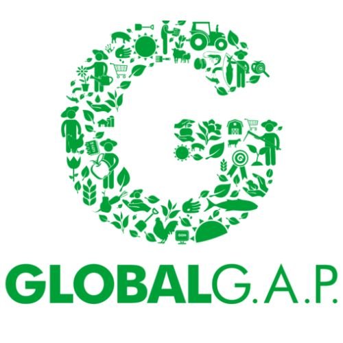 Untitled design (64)