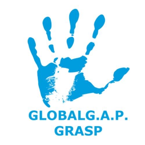 Untitled design (65)